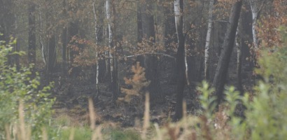 В Рузе-Новости района