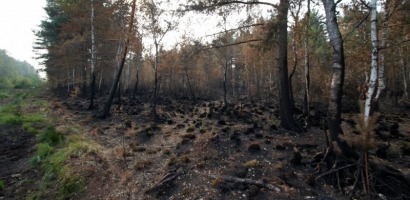 В Рузе-Новости района