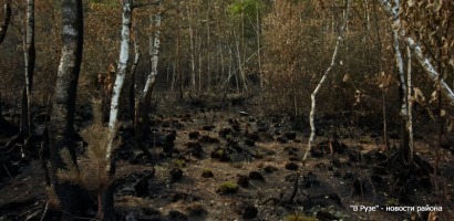 В Рузе-Новости района