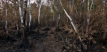 В Рузе-Новости района