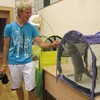 В Рузе состоялась выставка кошек